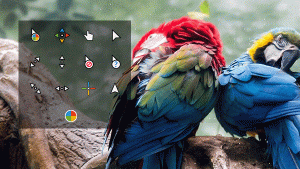 Janguru Cursors贝贝资源小站-分享最新影视书籍资源贝贝资源小站